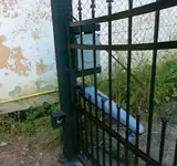 Fotografia 13